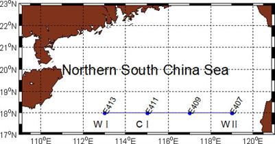 Vertical patterns of chlorophyll a in the euphotic layer are related to mesoscale eddies in the South China Sea